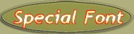 specialfont.jpg (4099 bytes)